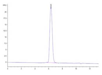Recombinant human PDGF R Beta protein, C-His-Avi (HEK293)
