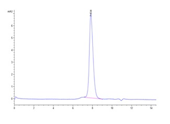 Recombinant Cyn. monkey PD-L1 protein, C-His (HEK293)