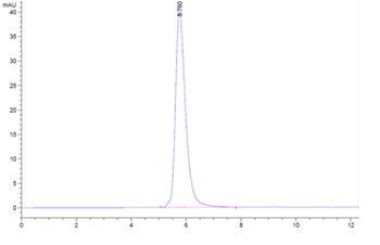 Recombinant Cyn. monkey PD-1 protein, C-hFc (HEK293)