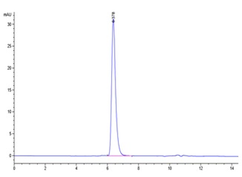 Recombinant human Notch 1 protein, C-His-Avi (HEK293)