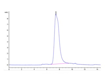 Recombinant human NKp30 protein, C-His-Avi (HEK293)