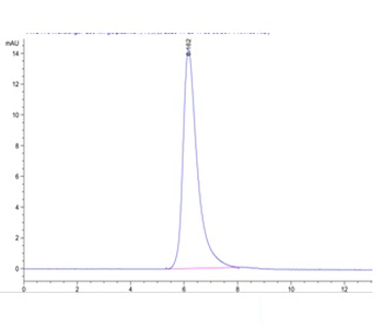 Recombinant Cyn. monkey Mesothelin / MSLN protein, C-hFc (HEK293)