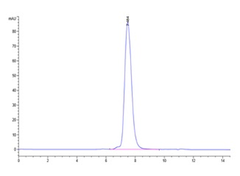 Recombinant human MICB protein, C-His-Avi (HEK293)