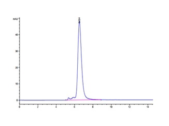 Recombinant human MICA protein, C-His-Avi (HEK293)