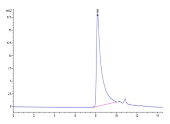 Recombinant human MCP-1 / CCL2 protein, C-His-Avi (HEK293)