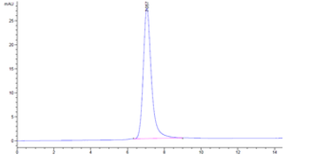 Recombinant human LIGHT (Trimer) protein, N-His-Flag (HEK293)
