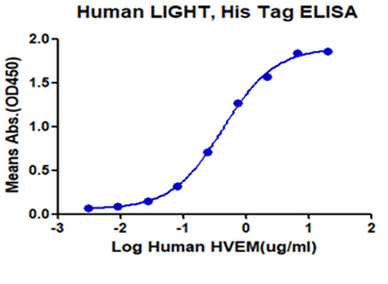 Recombinant human LIGHT protein, C-His (HEK293)