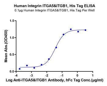 Recombinant human Lntegrin Alpha 5 Beta 1 (ITGA5 & ITGB1) protein, C-His-Avi (HEK293)