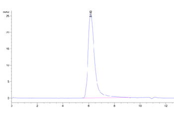 Recombinant human IL-23 R protein, C-mFc (HEK293)