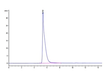 Recombinant human IL-13RA2 protein, C-hFc (HEK293)