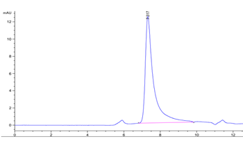Recombinant human IL-23 Alpha & mouse IL-12 Beta protein, C-His-Avi (HEK293)