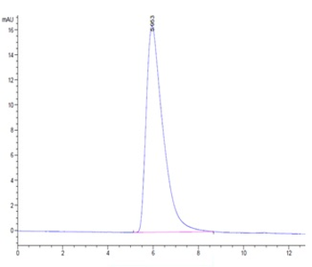Recombinant human IL-7R Alpha / CD127 protein, C-hFc (HEK293)