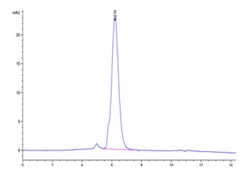 Recombinant human IL-17RA protein, C-hFc-Avi (HEK293)
