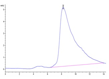 Recombinant human IL-13 protein, N-His-Avi (HEK293)