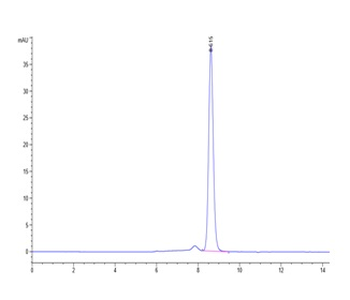 Recombinant human IL-18 protein