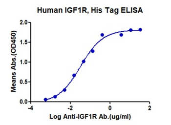 Recombinant human IGF1R protein, C-His-Avi (HEK293)