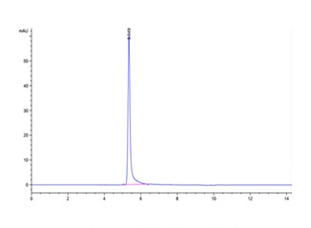 Recombinant human IGF1R protein, C-His-Avi (HEK293)