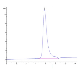 Recombinant human ErbB2 / Her2 (Domain IV) protein, C-His-Avi (HEK293)