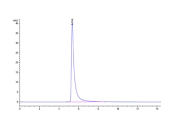 Recombinant human ErbB3 / Her3 protein, C-hFc (HEK293)