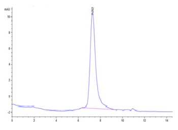 Recombinant mouse GFR Alpha-like / GFRAL protein, N-His-Avi (HEK293)