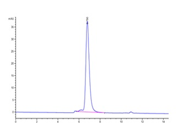 Recombinant human GUCY2C protein, C-His-Avi (HEK293)