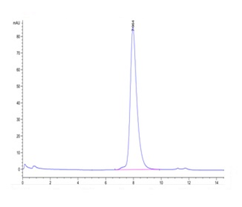 Recombinant Cyn. monkey FcRn protein, C-His-Avi (HEK293)