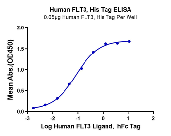 Recombinant human FLT3 / Flk-2 protein, C-His-Avi (HEK293)