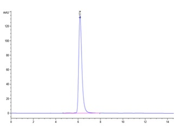 Recombinant human E-selectin, C-His-Avi (HEK293)