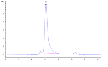 Recombinant human DLL4 protein, C-His-Avi (HEK293)