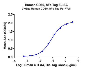 Recombinant human CTLA4 protein, C-His (HEK293)