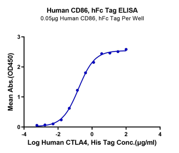 Recombinant human CTLA4 protein, C-His (HEK293)