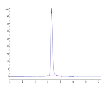 Recombinant human CD70 (Trimer) protein, N-His (HEK293)