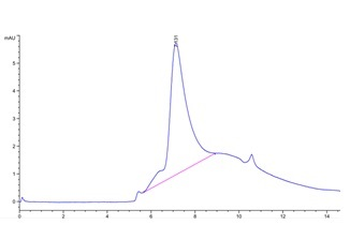 Recombinant human NKG2A & CD94 protein, N-His-Avi (HEK293)
