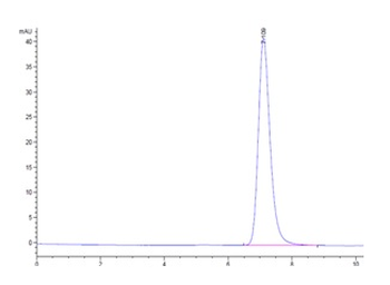 Recombinant mouse CD73 protein, C-His (HEK293)