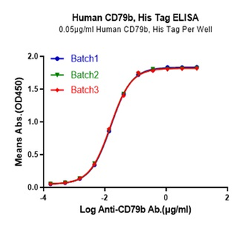 Recombinant human CD79B protein, C-His-Avi (HEK293)