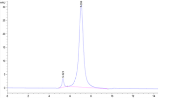 Recombinant human CD79B protein, C-His-Avi (HEK293)