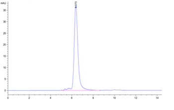 Recombinant human CD52 protein, C-mFc (HEK293)