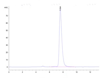 Recombinant human CD40 protein, C-His-Avi (HEK293)