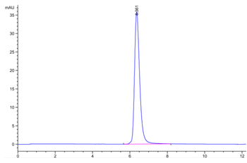 Recombinant human CD40 protein, C-His (HEK293)