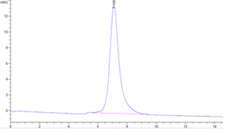 Recombinant mouse CD36 protein, C-His (HEK293)