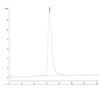 Recombinant human CD30 protein, C-His-Avi (HEK293)