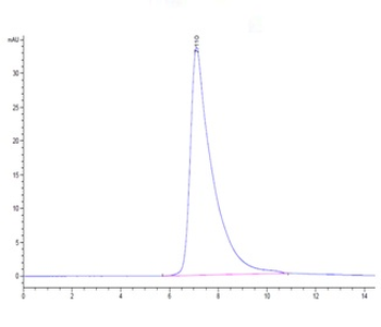 Recombinant human CD23 / Fc Epsilon RII protein, N-His (HEK293)