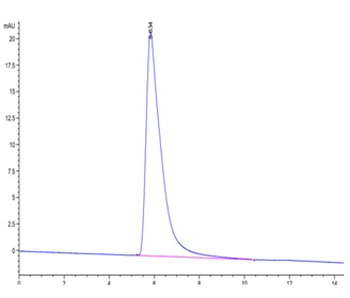 Recombinant human CD27 protein, C-hFc (HEK293)