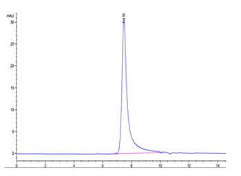 Recombinant human CD122 / IL2RB protein, C-His-Avi (HEK293)