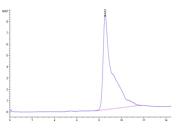 Recombinant mouse BCMA protein, C-His-Avi (HEK293)