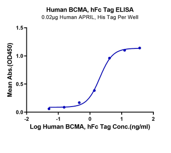 Recombinant human BCMA protein, C-hFc (HEK293)