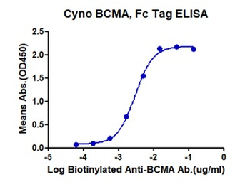 Recombinant Cyn. monkey BCMA protein, C-hFc (HEK293)