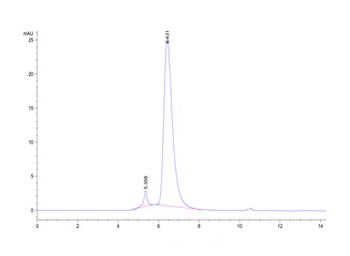 Recombinant Cyn. monkey BCMA protein, C-hFc (HEK293)