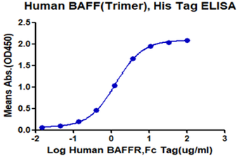 Recombinant human BAFFR protein, C-hFc (HEK293)