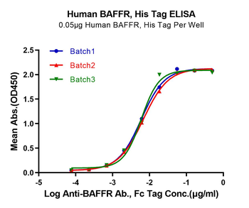 Recombinant human BAFFR protein, C-His (HEK293)